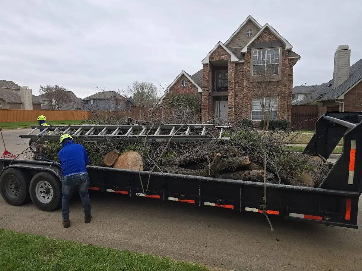 Expert Tree Pest Control with proper safety equipment in New Summerfield